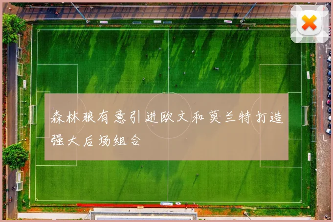 森林狼有意引进欧文和莫兰特打造强大后场组合